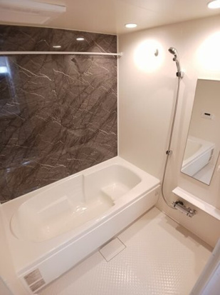 ルナソルのその他