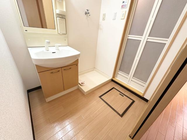 エクセルハイム岩ヶ下Ⅱの洗面所|脱衣所