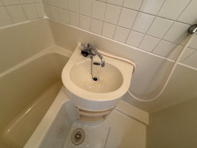 サンパレス21服部の洗面所