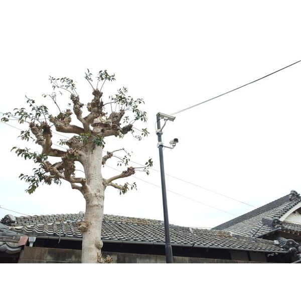 ハッピーコート五軒邸のセキュリティ