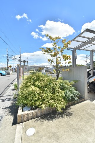 プランドールTのその他