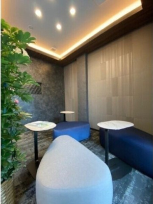 【ロビー】 | グランシェイド二番町(ペット飼育可能)