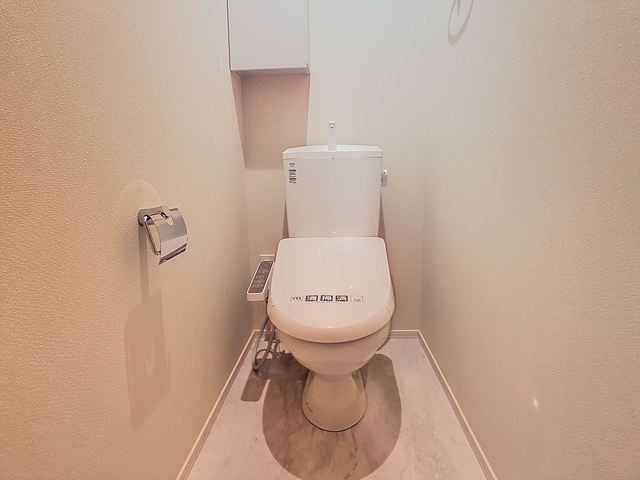 FORTIS藤崎弥生のトイレ