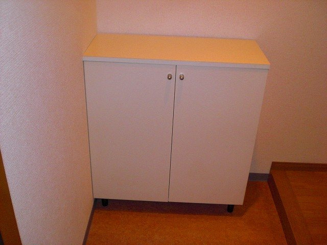 アステールの収納