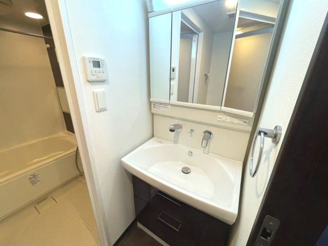 エスレジデンス淀屋橋の洗面所