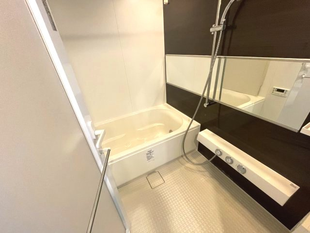 エスレジデンス淀屋橋の浴室