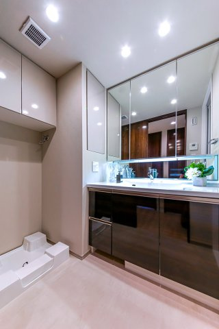 シティタワーズ東京ベイ セントラルタワーの独立洗面台