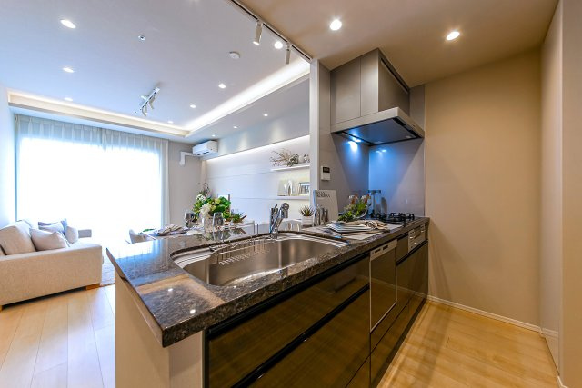 シティタワーズ東京ベイ セントラルタワーのキッチン