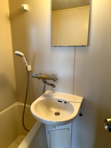 ピュア大久保の洗面所