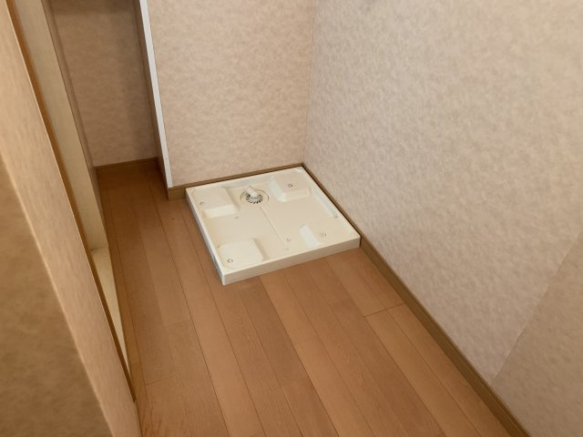 ロイヤルメゾン大橋Ⅰの洗面所