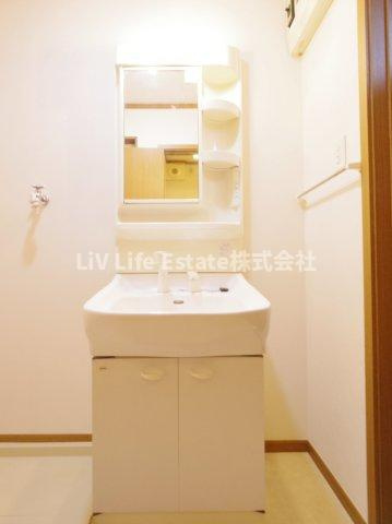 タートルハウスＡ棟の洗面所