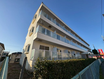 ハイムカメリアの画像