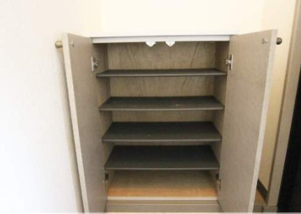 ハミングタウン合川の玄関|収納もある玄関です※別号室の写真です