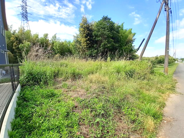熊本市南区城南町東阿高の売地