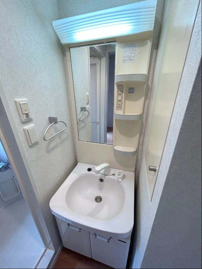 アクタス博多Vタワーの洗面所