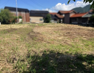 大山町荘田　356坪の画像