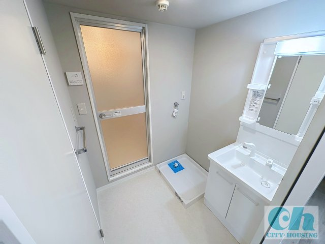 ベルウッド田園調布 102号室の洗面所