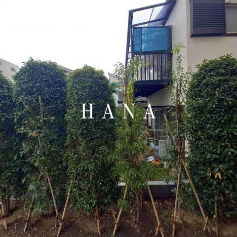 ボヌールⅠの展望