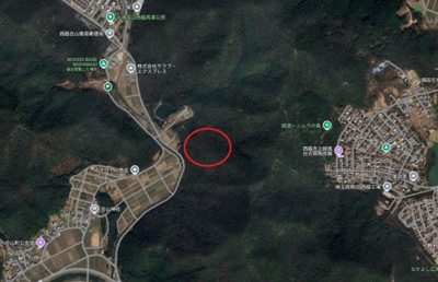 【区画図】 | 西脇市合山町　山林　1