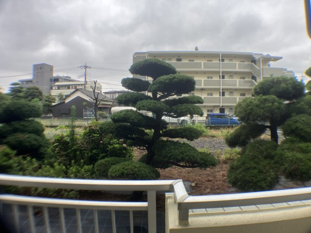 グリーンパークタニグチの展望