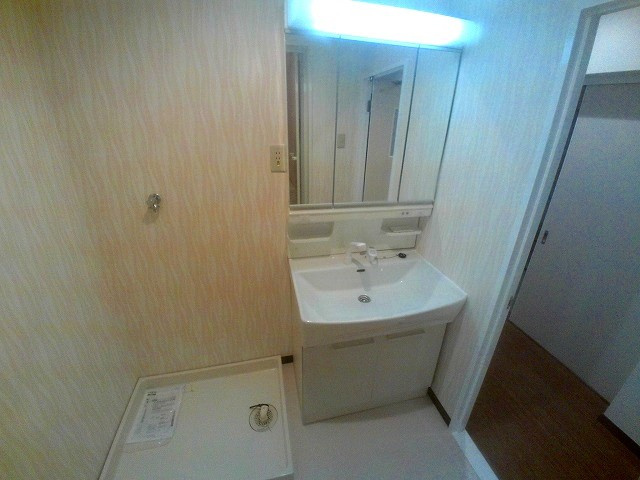 シャトー登貴和の洗面所