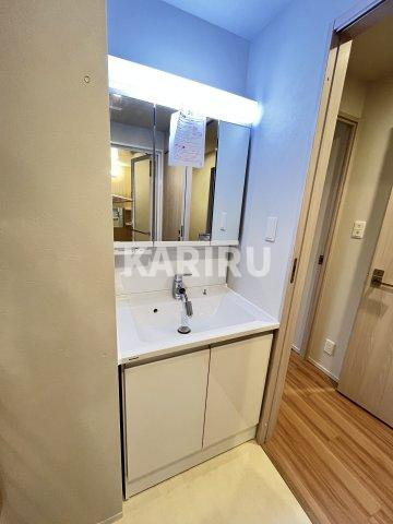 スプランディッド城東関目の洗面所|偶数階のカラーです