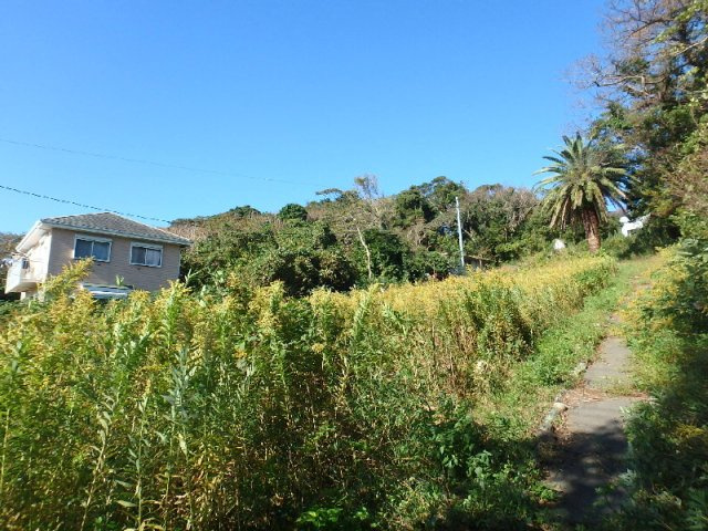 S1027G　白浜土地の周辺