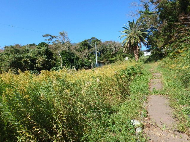 S1027G　白浜土地の周辺