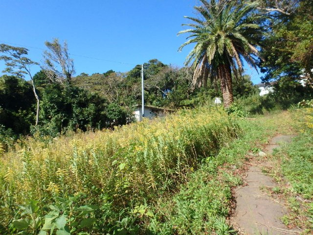 S1027G　白浜土地の周辺