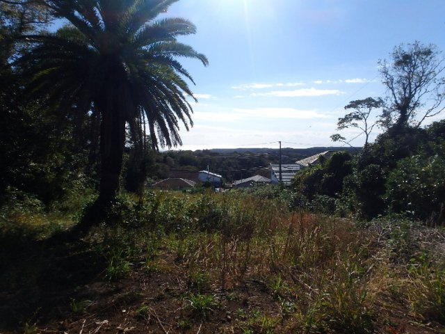 S1027G　白浜土地の展望