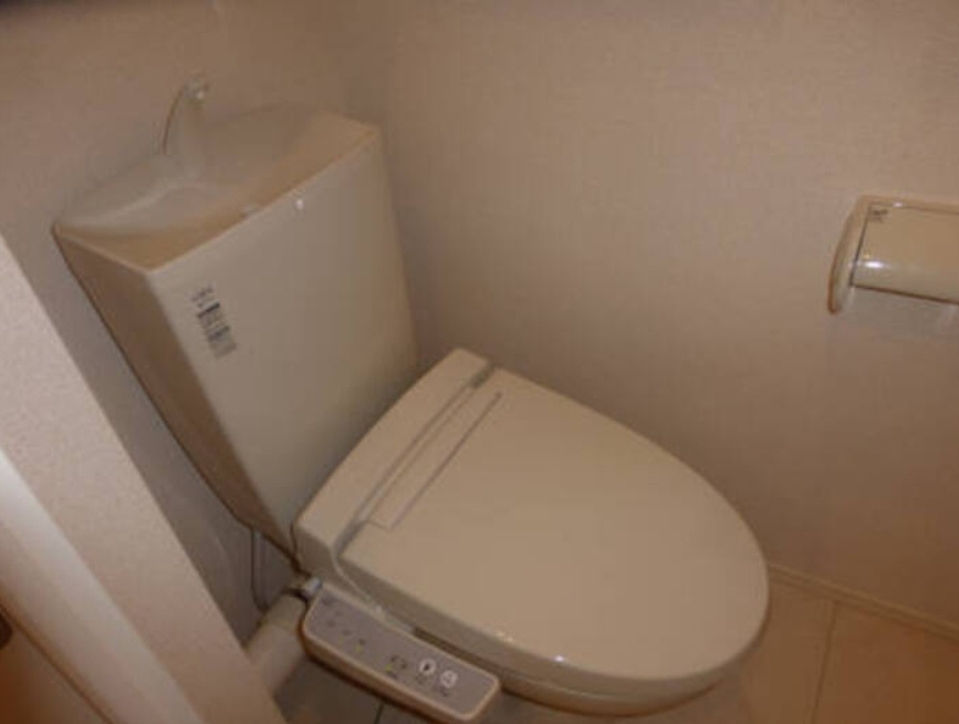 ノワイエのトイレ