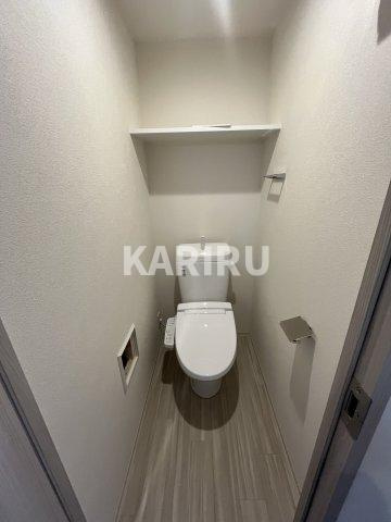 プレサンス東小橋エレディータのトイレ
