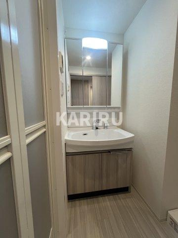 プレサンス東小橋エレディータの洗面所