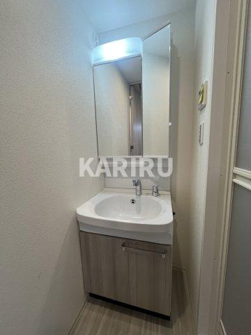 プレサンス東小橋エレディータの洗面所