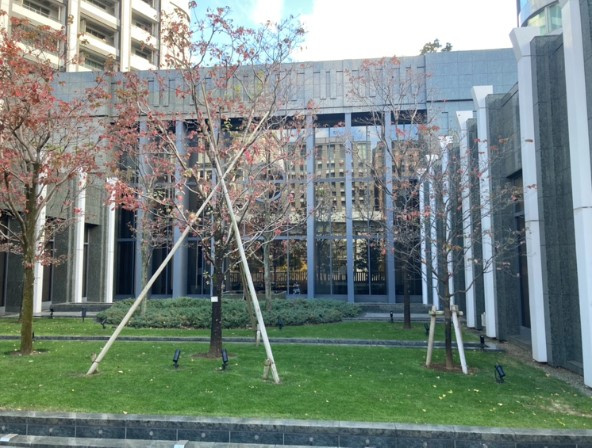 【その他】 | 東京ツインパークスレフトウィング