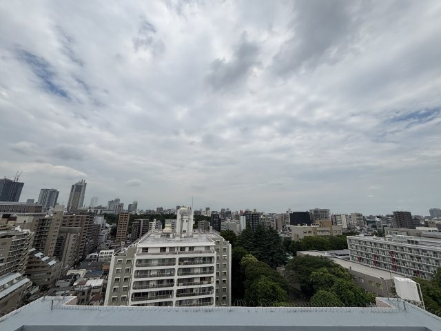 音羽ハウスの展望
