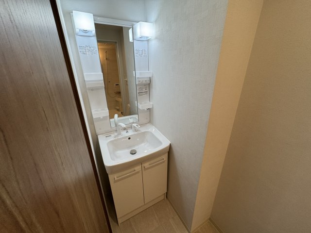 ヒューマンズウェル城南館の独立洗面台