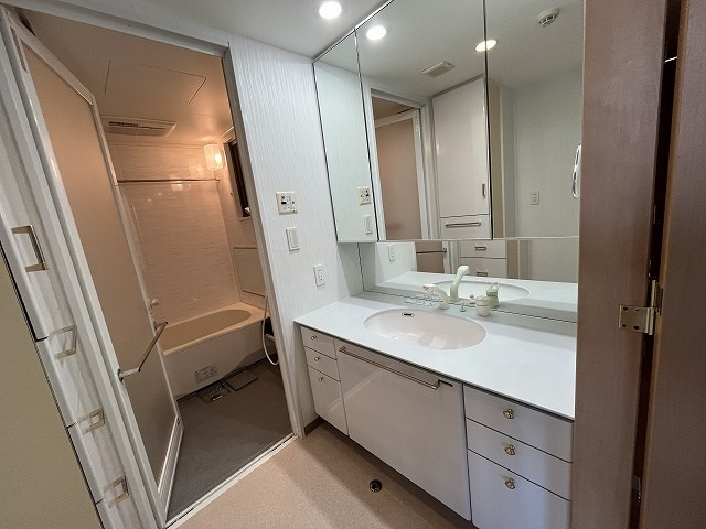 パークコート加古町の独立洗面台