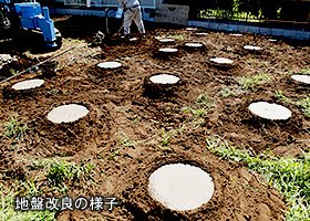 【その他】 | 新築　新発田市豊町 第5  2号 | 家を建てる地盤が弱い時には、補強の杭を打ち込むなどの地盤改良を行います。「怪しきところは補強の杭を打つ」を自社基準に、地盤改良工事を施し、地盤に対する安全性を高めています。