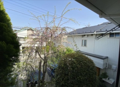 【展望】 | プラージュ荻窪