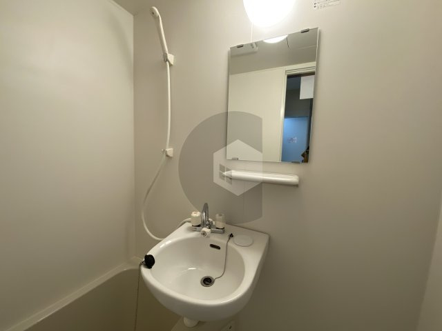 ハイウッズナガタの洗面所