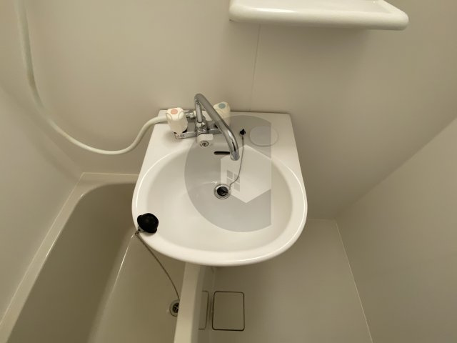 ハイウッズナガタの洗面所