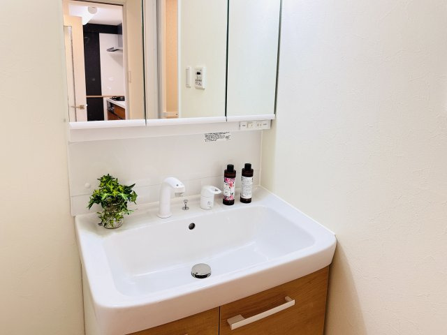 キャッスル峰壱番館の独立洗面台