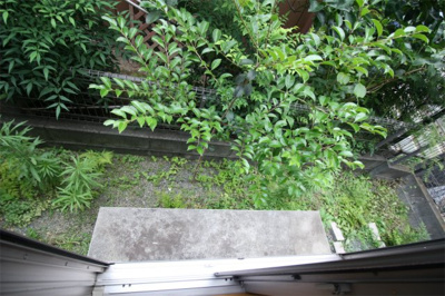 【洋室】 | 宮戸2丁目戸建 | 天窓や屋根裏付き