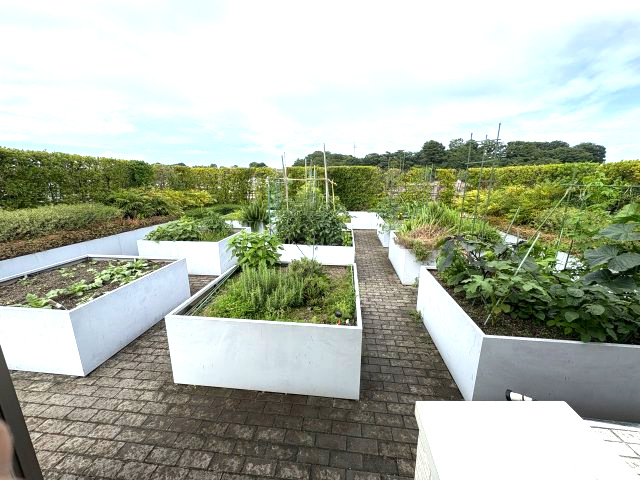 ロイヤルシーズン二子玉川の展望