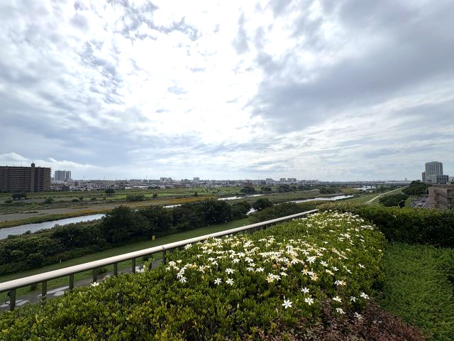 ロイヤルシーズン二子玉川の展望