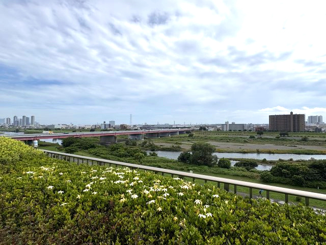 ロイヤルシーズン二子玉川の展望