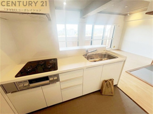 シンプルなデザインと使いやすさを兼ね備えた対面式システムキッチンは、効率的な作業スペースを提供し、家族やゲストとのコミュニケーションを促進します。