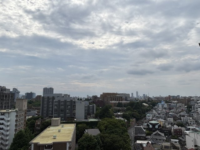 パークタワー上野池之端の展望