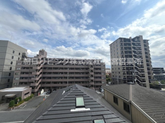 【展望】